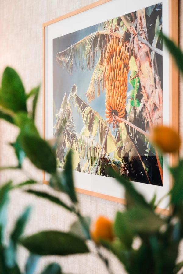 Banana Lodge By Atlantic Holiday Funchal  Exteriér fotografie